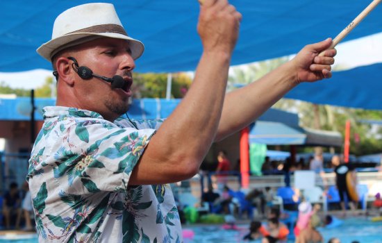 28102840150_cac3c11542_k