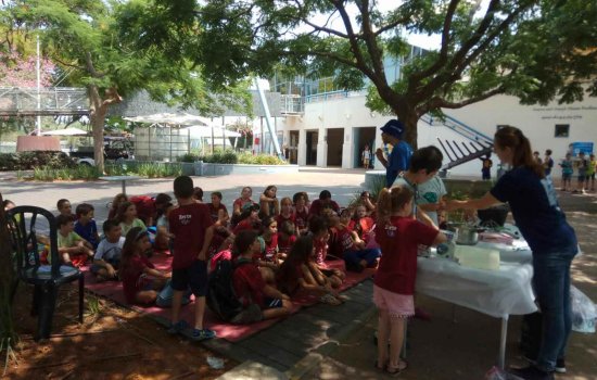 קייטנה על גלגלים1