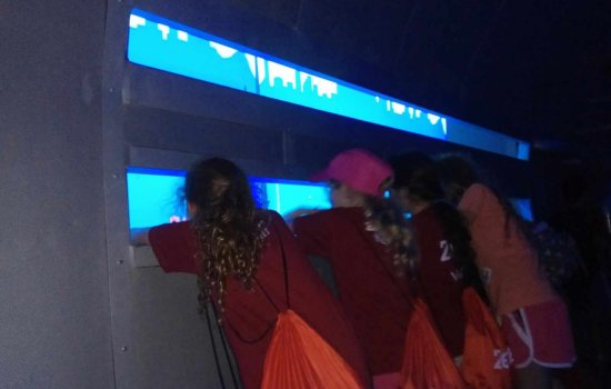 קייטנה על גלגלים2