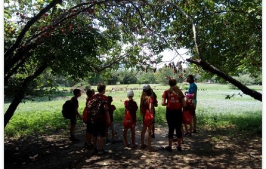 קייטנה על גלגלים5